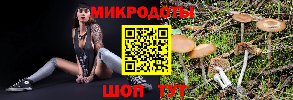 Кунгур  Псилоцибиновые грибы мухоморы  Вход с VPN 